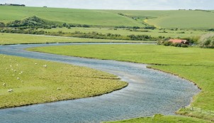 Buzz Cuckmere