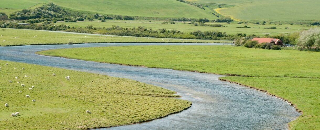 Buzz Cuckmere