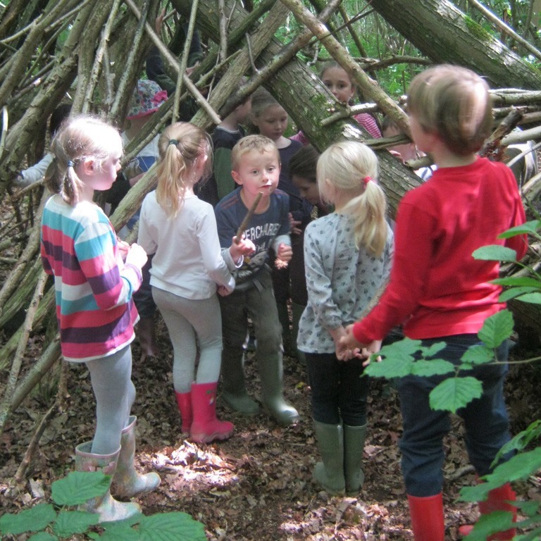 Building dens