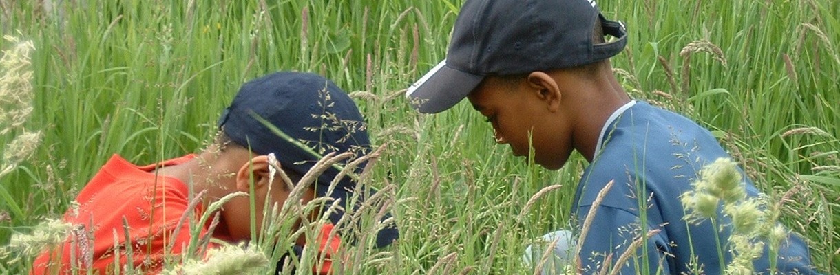 Children looking for bugs in the grass