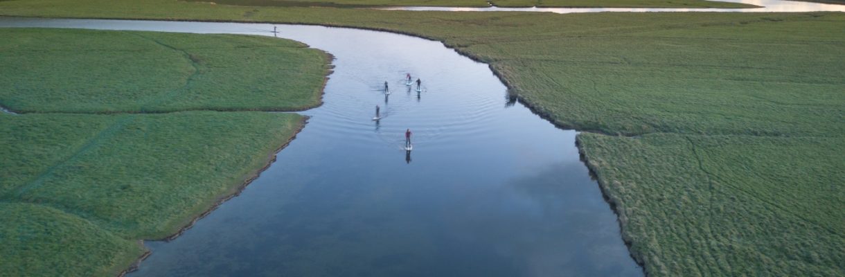 stand up paddle boarders boarders returning home after a paddle to the sea