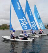 onboard pico multiple